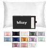 Blissy Silk Pillowcase - 100% Pure Mulberry Silk - 22 Momme 6A High-Grade Fibers - Silk Pillow Cover for Hair & Skin - Regular, Queen & King with Hidden Zipper (Standard, White)