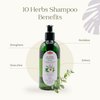 10 Herbs Rejuvenate Shampoo for Bright and Shiny Hair, Sage, Peppermint, Melissa, Rosemary, Myrtle, Storax, Thyme, Juniper, Lavender, Chamomile, No Paraben, No Silicon, Herbal Shampoo for Normal Hair