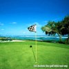 Golf Flag,Green Golf Flags,Solid Nylon and Checkered Training Golf Putting Green Flags, Indoor Outdoor Backyard Garden Portable Golf Target Flags,8.7inch*6inch (White-Green)