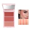 DLZZRS 3D Blush Trio Palette,Multi-Use Shimmery Matte Contour Palette Makeup Powder Bronzer Face Sculpting Contour Cheeks Lightweight Smooth Blendable Face Blush Highlighter Bronzer Powder Beauty（02#）