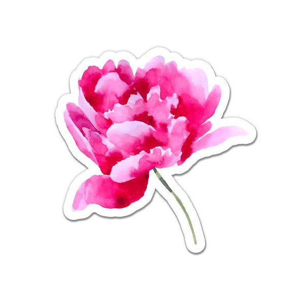 Watercolor Peony - 12" Vinyl Sticker Waterproof Decal
