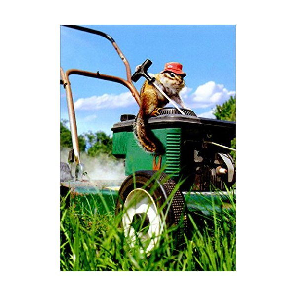 Chipmunk Lawnmower Cute Funny Father's Day Card