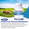 Jkrova Grass-Fed Desiccated Thyroid Supplement (100 Capsules) – for Hypothyroidism & Hashimoto’s | Desiccated Thyroid Supplement for Women – Supports Energy, Mood Balance, Focus & Metabolism