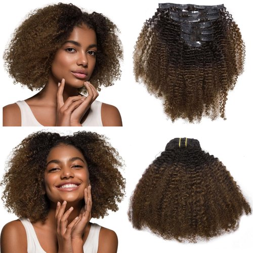 Anrosa Kinkys Curly Clip in Hair Extensions Human Hair 3C 4A Afro Kinky Curly Clip ins Natural Hair Real Remy Thick Human Hair Extensions for Black Women (14 inch, Ombre #1B/4)