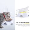 MILIFUN Double Dog Cat Bowls - Pets Water and Food Bowl Set, 15°Tilted Water and Food Bowl Set with Automatic Waterer Bottle for Small or Medium Size Dogs Cats