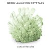 NATIONAL GEOGRAPHIC Glow-in-the-Dark Crystal Growing Lab - DIY Crystal Creation - Includes Real Fluorite Crystal Specimen