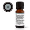 Plant Therapy Gut Aid Essential Oil Blend 10 mL (1/3 oz) 100% Pure, Undiluted, Natural Aromatherapy for Upset Stomach Relief