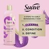 Suave Pink Luscious Curls Shampoo For Luscious Curls Curls Defining Curly Hair Shampoo with Amino Acid Complex 16.5 oz