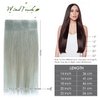WindTouch Tape in Hair Extensions Silver Gray 100% Human Hair Extensions Straight 20 Pcs 20Inch #gray 50g