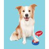 SPOT Easy-Talk-Dog Buttons for Communication, 20s Voice Recording Buttons, Pet Training Buzzer, Speaking Buttons for Cats & Dogs Voice, Dog & Puppy Training & Behavior Aids, 3Pcs