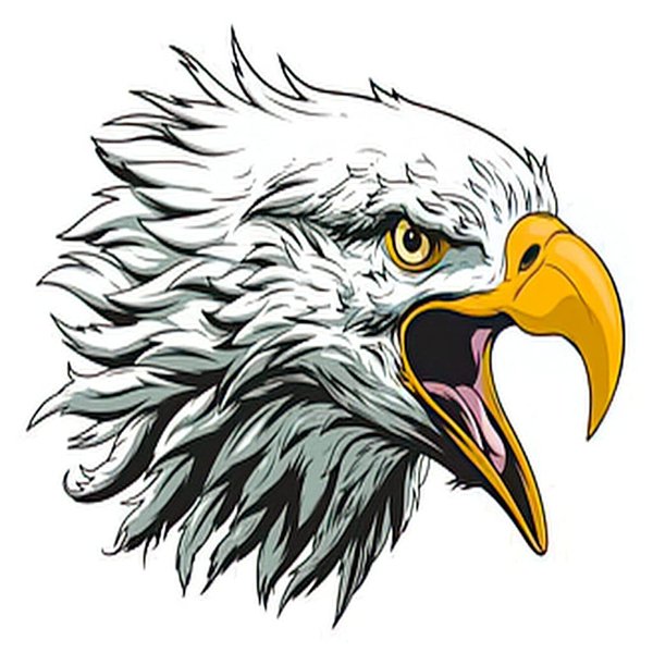 Dopetattoo 6 Sheets Temporary Tattoos Eagle Fake tattoos Neck Arm Chest for Women Men Adult