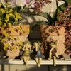 JIUMO Miniature Garden Fairy Figurines Fairy Garden Fairies Accessories Enchanted Garden Fairies Fairy Garden Miniatures Resin Fairy Figurine Sitting Fairies…