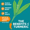 ZYN Turmeric Electrolyte Drink Mix for Gut Health Hydration Packets with Vitamins, Zinc & Curcumin, Recovery, Low Sugar Packets with Piperine, Variety, 16 Pack