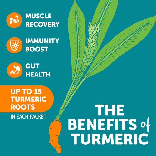 ZYN Turmeric Electrolyte Drink Mix for Gut Health Hydration Packets with Vitamins, Zinc & Curcumin, Recovery, Low Sugar Packets with Piperine, Variety, 16 Pack