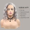 AFBeauty Short Wig Lace Front Wigs for Women Grey Colorful Wavy Wig Glueless Lace Wigs Heat Resistant Fiber Hair Synthetic Lace Front Wigs Silver Frontal Bob Wigs Daily Cosplay Wig 14 Inch