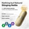 Stinging Nettle Capsules - Natural Urinary Tract & Overall Health Support - Organic Nettle Root Powder (Urtica Dioica) 1800 mg - 250 Vegan Pills - Non GMO