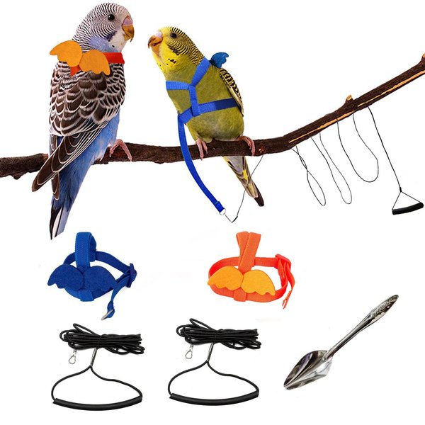 Xiapumeth Bird Harness for Parrot, 2Pcs Bird Leash for Parrots, Parakeet Leash for Outdoor Activities Training, Bird Flying Harness, Parrot Flight Harness, can‘t Birds Weighing Less Than 37 Grams