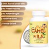 Camel Milk Capsules | Herbal Supplement | Pure Camel Milk Powder 908.05mg, Calcium Carbonate, Vitamin C, Vitamin B1, Vitamin B2 | 60 Capsules