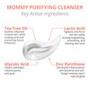 Visha Skincare Mommy 4 in 1 Multitasking Purifying Cleanser, Pregnancy and Nursing Safe Face Cleanser, Minimizes Pores, Reduce Facial Redness and Exfoliates, Great for Dry and Sensitive Skin 6.8oz