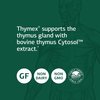 Standard Process Thymex - Whole Food Cholesterol, Thymus Supplement and Immune Support Supplement with Vitamin C, Magnesium Citrate, and Calcium Lactate - Gluten Free - 330 Tablets