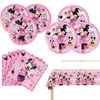 Minnie Birthday Party Supplies, 20 Plates, 20 Napkins and 1 Tablecover for Mouse Party Decorations