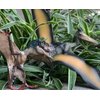 Gemini&Genius Pterosau Dinosaur Toys for Kids, Pterosaur Toy Figure, Flying Dinosaur Toys, Pterodactyl Toys, Pteranodon Figure Toys, Gifts or Cake Toppers for Kids（2Pcs）