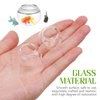 NUOBESTY 2Pcs Miniature Fish Bowls Dollhouse Empty Goldfish Fish Bowl Glass 1:12 Dollhouse Fish Tank for Dollhouse Desktop Ornaments