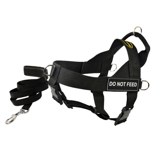 Dean and Tyler Bundle One DT Universal Harness, Do Not Feed, X-Small (21, 25) + One Padded Puppy Leash, 6-Feet Stainless Steel Snap, Black