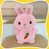 Chioldilly Cute and Cuddly Animal Plush Pillows Toy, Soft and Huggable Stuffed Animals for Kids 3+, Fit for Naptime and Playtime (Rabbit)