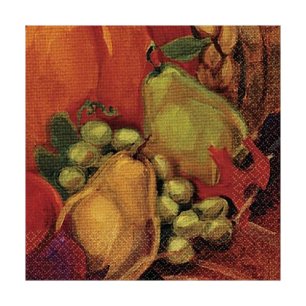 Amscan Harvest Still Life Thanksgiving Party Beverage Paper Napkins (Pack of 16), Multicolor, 5" x 5"