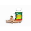 Hanan Uña de Gato Cat's Claw | 100 Capsules | Naturally Aids in Supporting Healthy Immune System