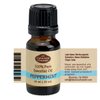 Fabulous Frannue Great Eight Set in Carrying Case osemary, Lavender, Sweet Orange, Lemongrass, Tea Tree, Patchouli, Peppermint and Eucalyptus Pure Essential Oils 10ml (Count of 8)