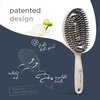 FABCARE Detangler Hair Brush for Women, Men & Children, Detangling Brush for Thick or Curly Hair - Dry or Wet Hairbrush with Boar Bristles, Curved Vented Hair Brush for Blow Drying, Beige