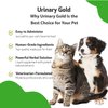 Pet Wellbeing Urinary Gold for Dogs & Cats - Vet-Formulated - Urinary Tract Health, Supports Normal Urinary pH - Natural Herbal Supplement 4 oz (118 ml)