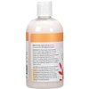 Ginger Lily Farms Botanicals Moisturizing Conditioner for Dry Hair, Coco Mango, 100% Vegan & Cruelty-Free, Coconut Mango Scent, 12 Fl Oz