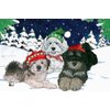 Havanese Christmas Cards : 10 Holiday Cards with White Envelopes - ADORABLE!