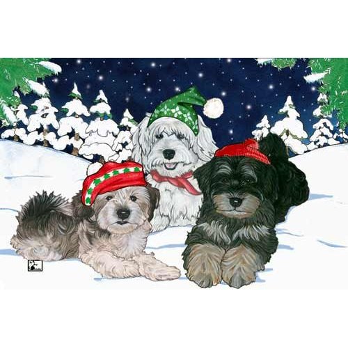 Havanese Christmas Cards : 10 Holiday Cards with White Envelopes - ADORABLE!