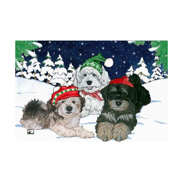 Havanese Christmas Cards : 10 Holiday Cards with White Envelopes - ADORABLE!
