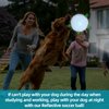 QDAN Reflective Dog Toys : Dog Soccer Ball with Straps, Interactive Dog Toys for Tug of War, Night Dog Balls for Small Medium Dogs, Dog Outdoor Toys, Dog Birthday Gifts (6 inch)