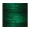 Splat Hair Splat Rebellious Colors 30 Wash Hair Color Kit, Midnight Jade, 6 Oz