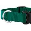 Country Brook Petz - Vibrant 25+ Color Selection - Deluxe Nylon Dog Collar and Leash (Small, 3/4 Inch Wide, Green)