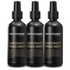 Pack of 3 Hyaluronic Acid & Aloe Coconut Face Mist for Men – Hydrating & Refreshing Green Tea & Rose Water Facial Mist for All Skin Types – Day & Night Mens Anti-Aging Calming Facial Toner 3.4 Fl Oz
