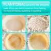 PLANTIONAL Pie Weights - 1.32 LB Ceramic Stoneware Beans in Wheat Straw Container for Blind Baking Pastry Crusts (Green)