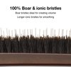 Olivia Garden Style-Up Teasing Foldable Hair Brush - 100% boar & ionic bristles STU-CO (Combo)…