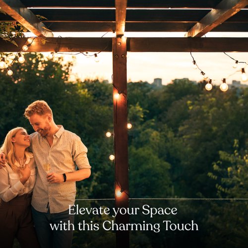 Brightech Ambience Pro LED String Lights - 26 Ft Patio Lights Outdoor Waterproof - Globe Porch String Lights for Outside, Christmas, Backyard - 12 Bulbs, 1W Vintage Edison, Warm White Black