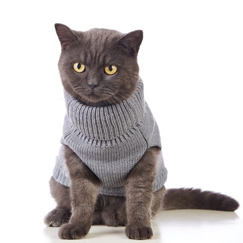 Jnancun Cat Clothes 14 Color Turtleneck Knitted Sleeveless Dog Sweater Warm Winter Cat Sweater Outfits for Cats or Small Dogs in Cold Season(Medium, Grey)