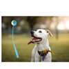 SOL MAR Ball Launchers with Tennis Balls - Blue Dog Training Tools Fetching, 21x4x2 in., Fun Outside Active