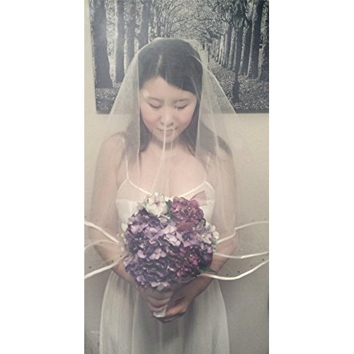 2t 2t Edge Crystal Rhinestones Bridal Wedding Veil (White)