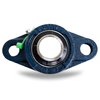Jeremywell UCFL202-10 Pillow Block Bearing (2 Pack), 5/8 inch Bore, 2-Bolt Flange Mounted, Solid Base, Self-Alignment