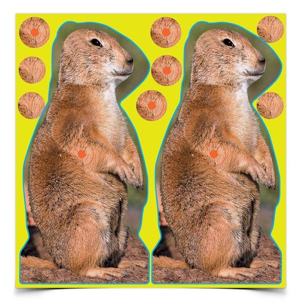 BIRCHWOOD CASEY Shoot-N-C 12" Prairie Chuck Reactive Targets - Highly Visible Instant Feedback Self-Adhesive Shooting Target Stickers - 12 Targets & 48 Repair Pasters
